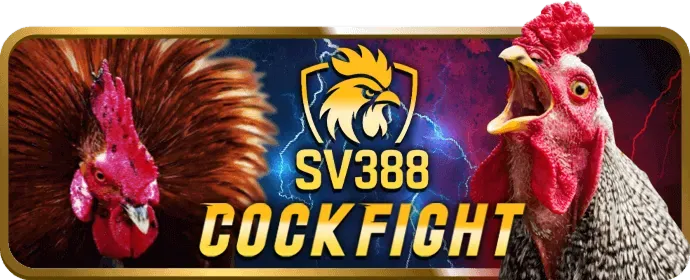 Ưu đãi chào mừng người chơi mới 58vip win